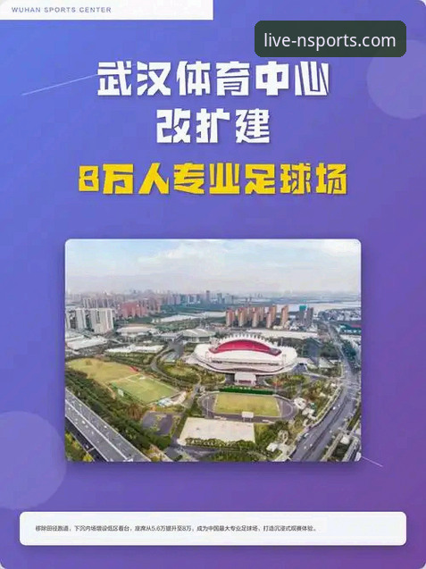 4大核心优势解析：最新n体育官方下载入口如何重塑观赛体验